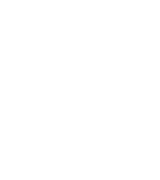 Silent Rebelz